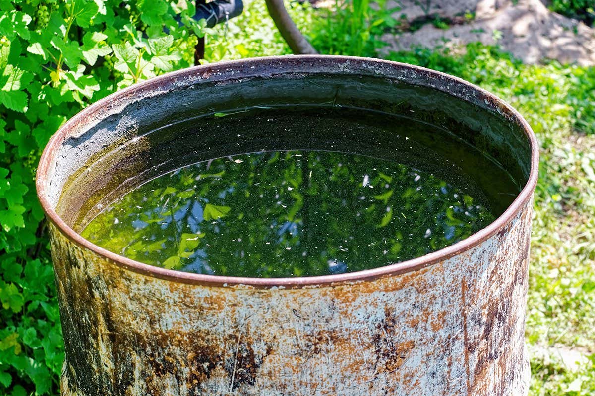 a metal water barrel stands in the garden; Shutterstock ID 1980910310; purchase_order: -; job: -; client: -; other: -