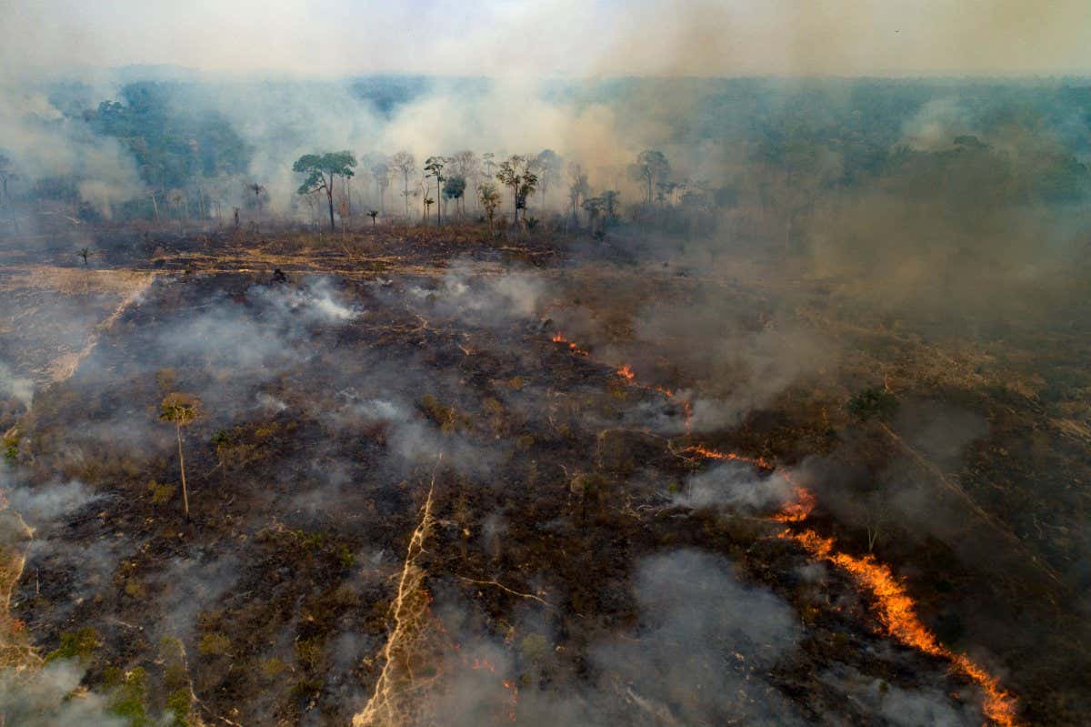 Mandatory Credit: Photo by Andre Penner/AP/Shutterstock (10753127a) Fire consumes land deforested by cattle farmers near Novo Progresso, Para state, Brazil Amazon Fires, Novo Progresso, Brazil - 23 Aug 2020