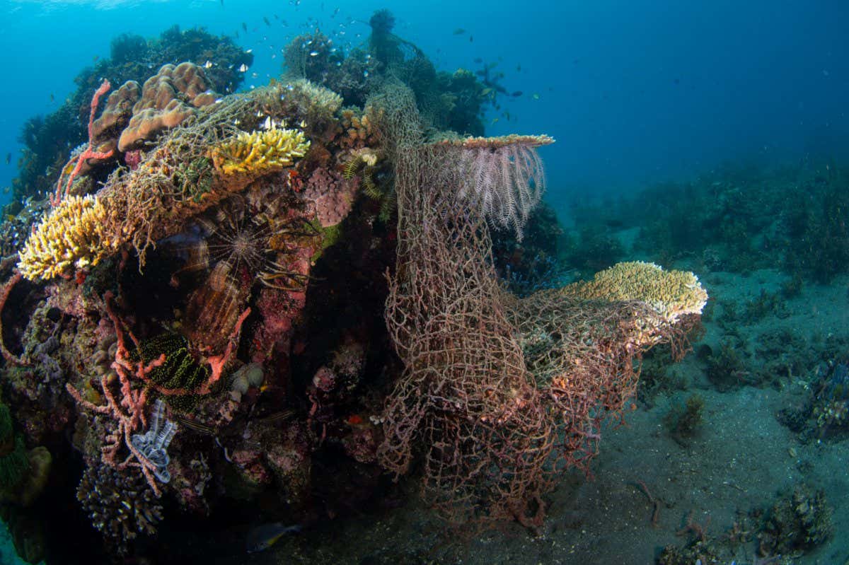 New Scientist. Science news and long reads from expert journalists, covering developments in science, technology, health and the environment on the website and the magazine.