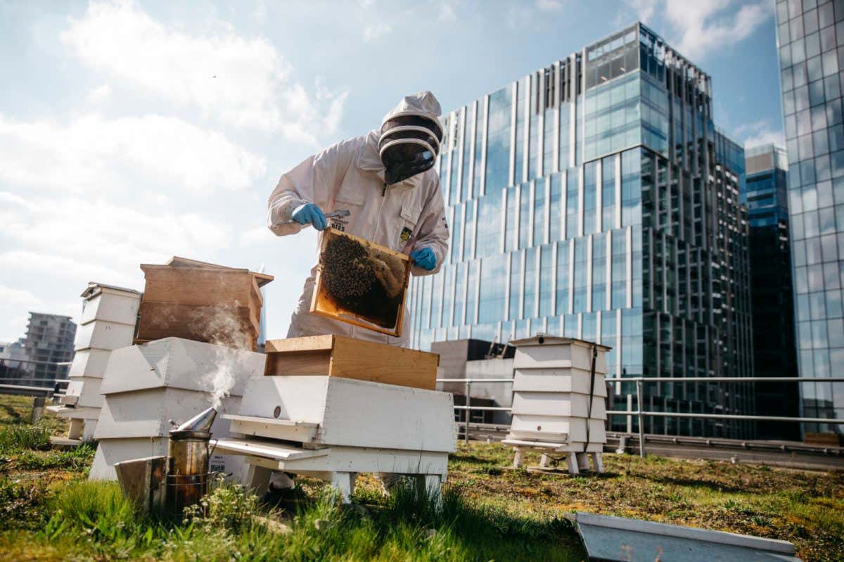 New Scientist. Science news and long reads from expert journalists, covering developments in science, technology, health and the environment on the website and the magazine.