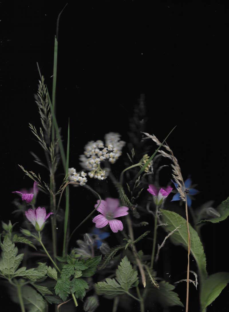 New Scientist. Science news and long reads from expert journalists, covering developments in science, technology, health and the environment on the website and the magazine.