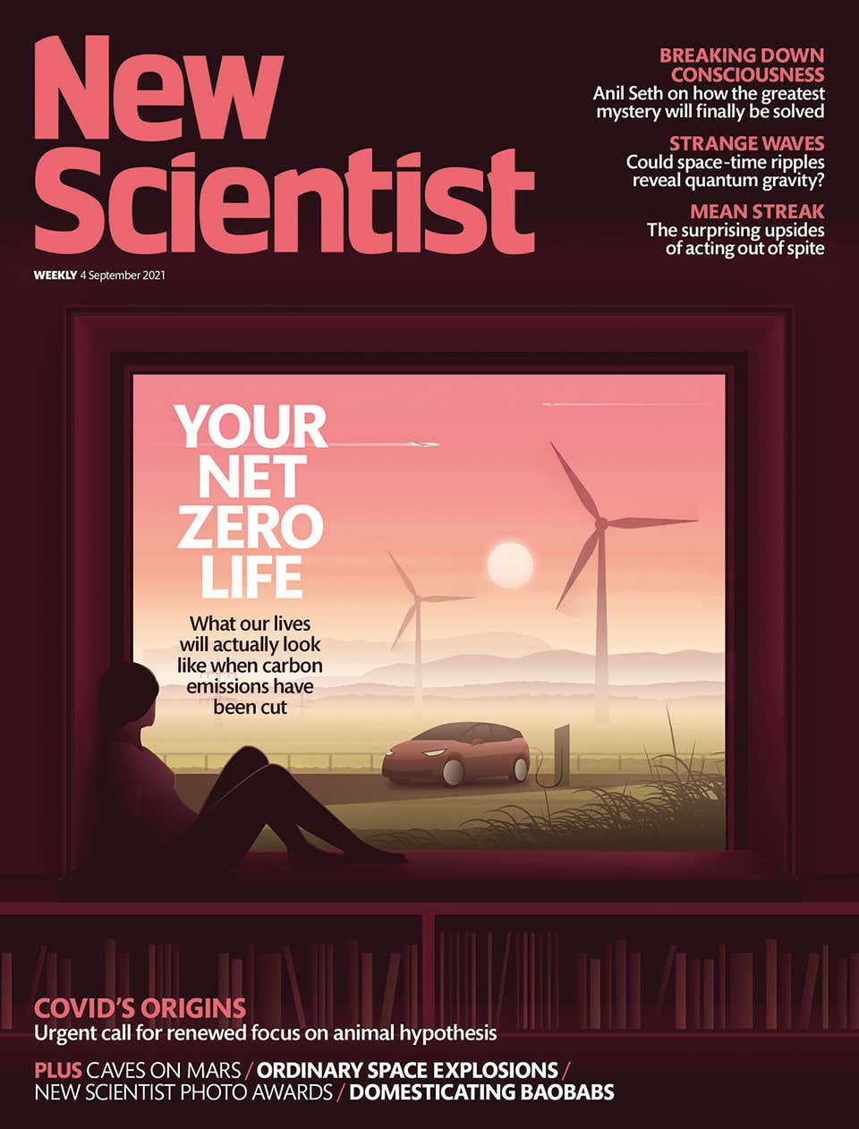 New Scientist issue 3350 cover