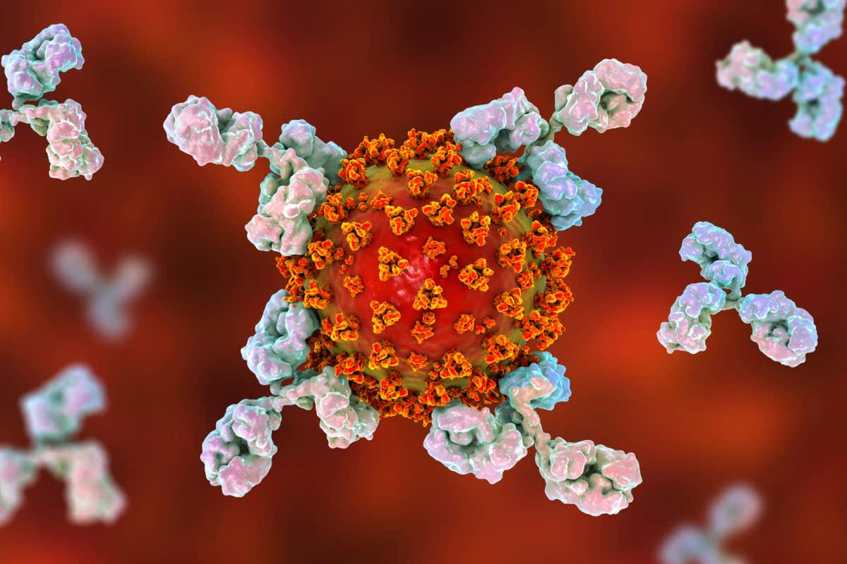 New Scientist. Science news and long reads from expert journalists, covering developments in science, technology, health and the environment on the website and the magazine.