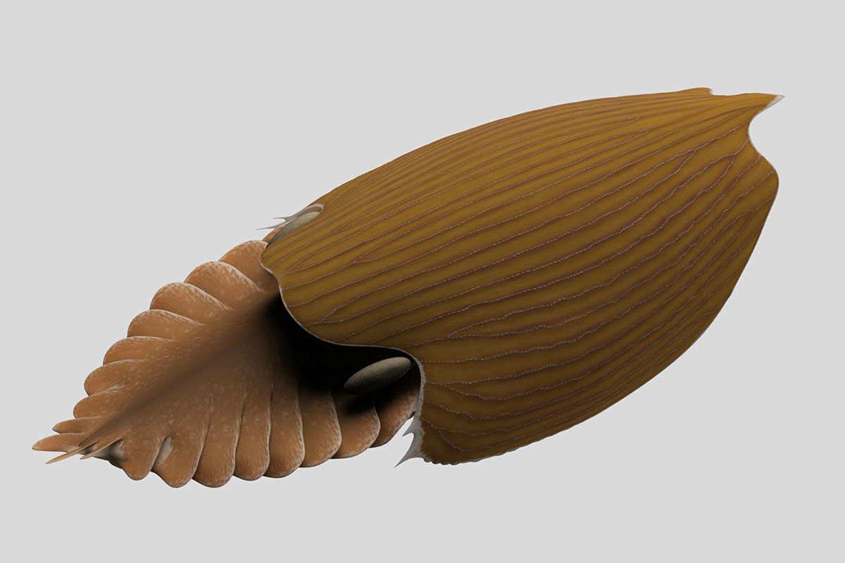 Titanokorys gainesi reconstruction.