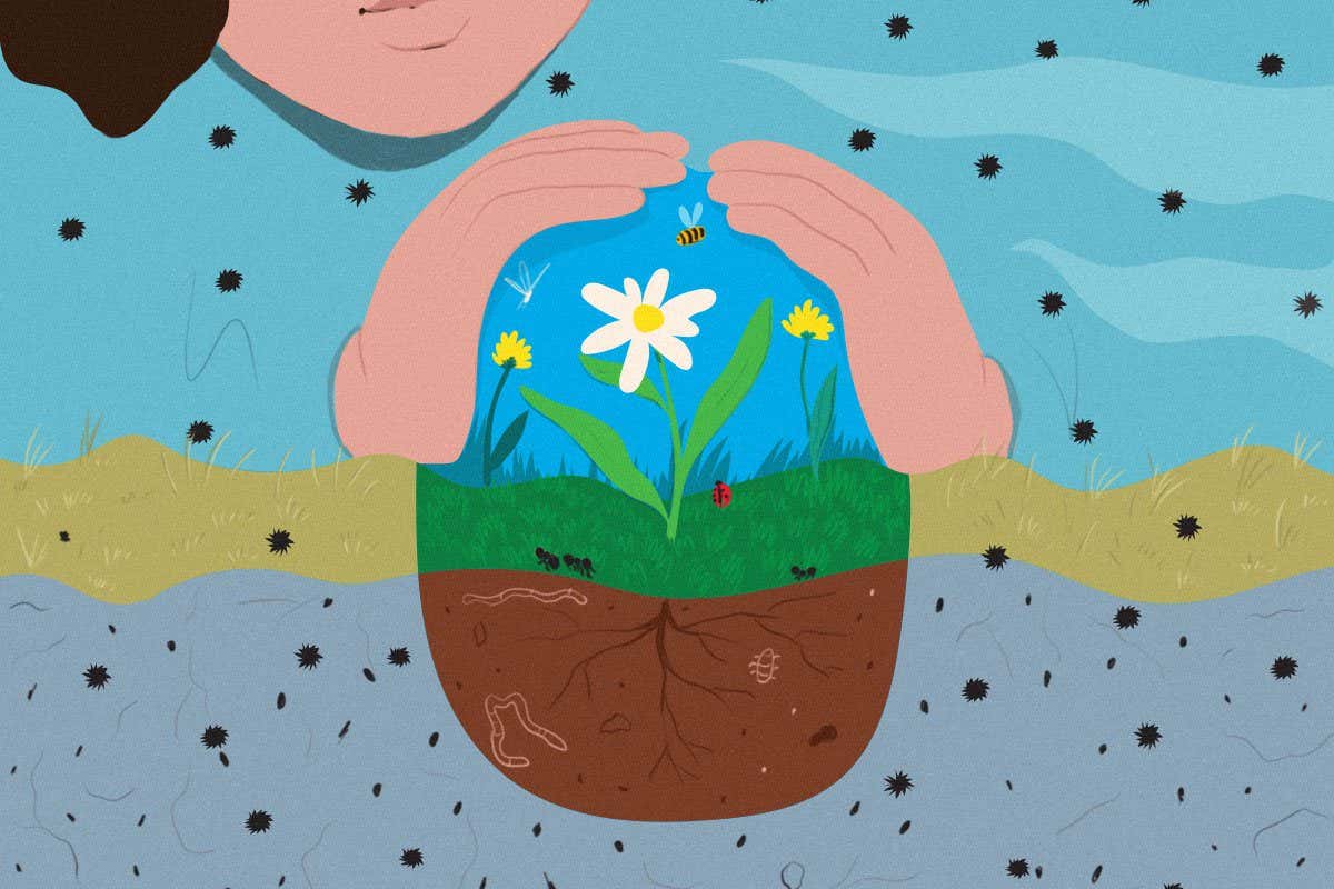 New Scientist. Science news and long reads from expert journalists, covering developments in science, technology, health and the environment on the website and the magazine.