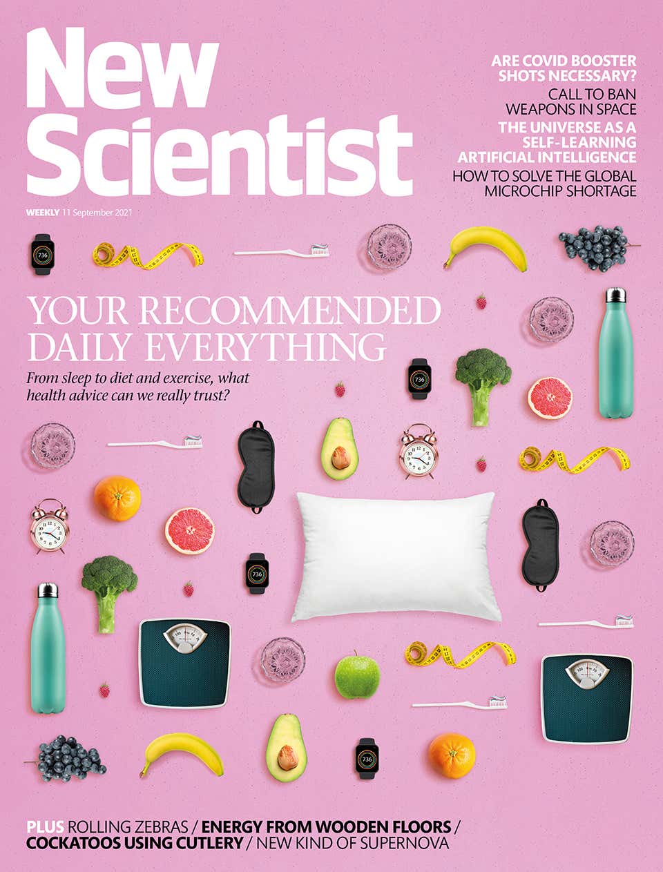 New Scientist issue 3351 cover