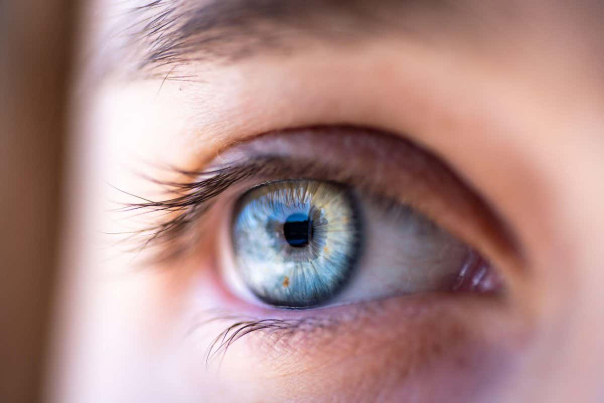 Close-up of an eye with a blue iris