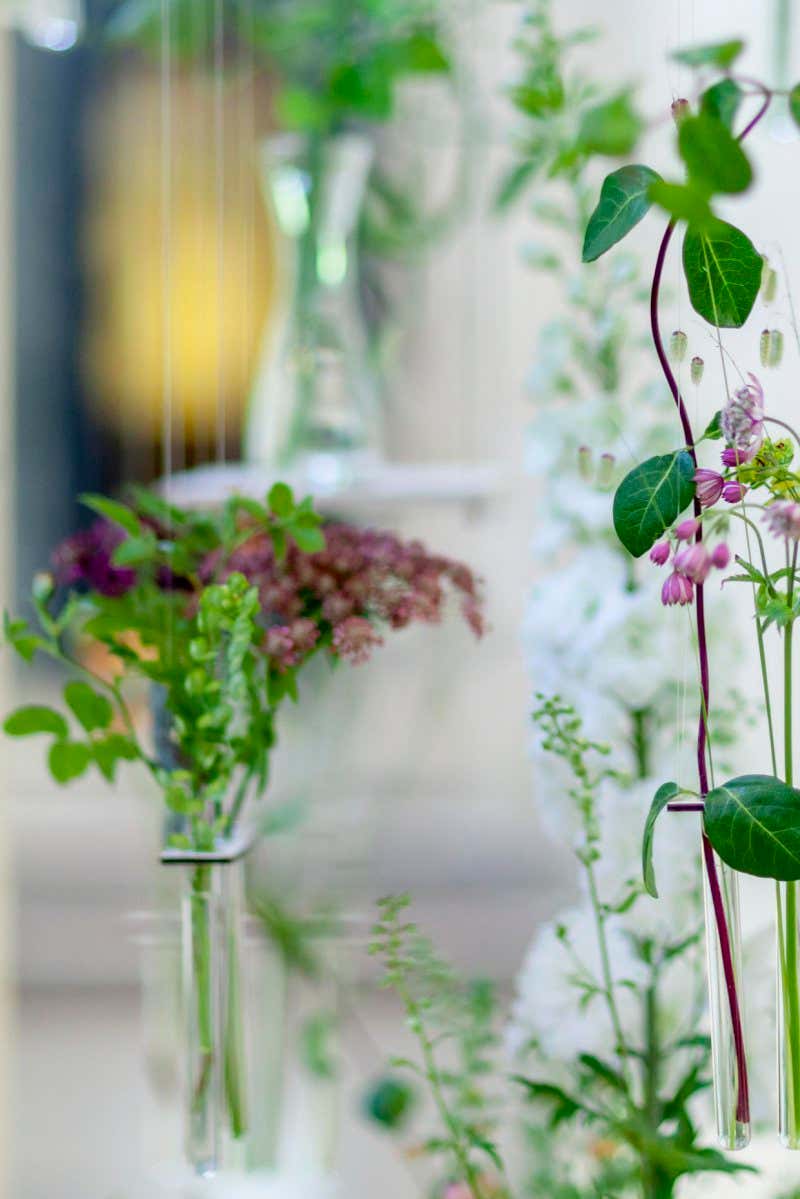 New Scientist. Science news and long reads from expert journalists, covering developments in science, technology, health and the environment on the website and the magazine.