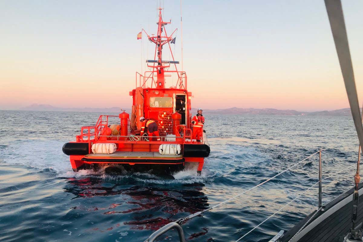 Why are orcas ‘attacking’ fishing boats off the coast of Gibraltar?