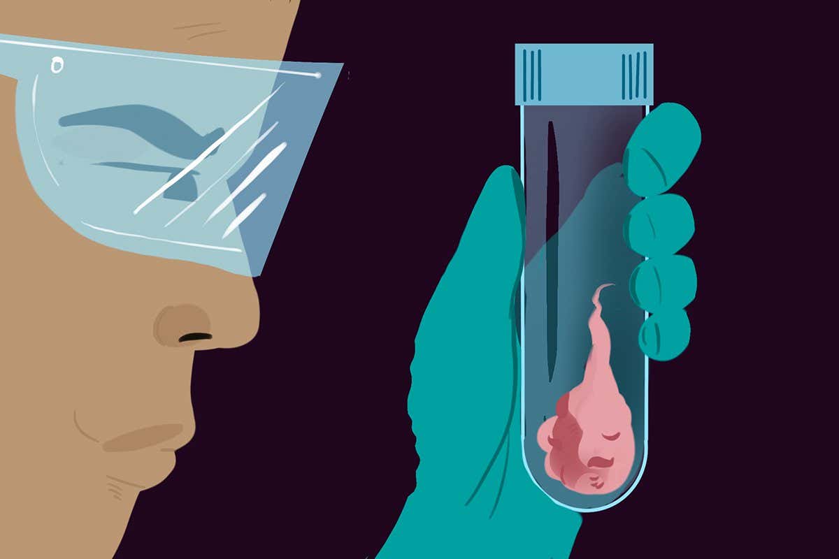 New Scientist. Science news and long reads from expert journalists, covering developments in science, technology, health and the environment on the website and the magazine.