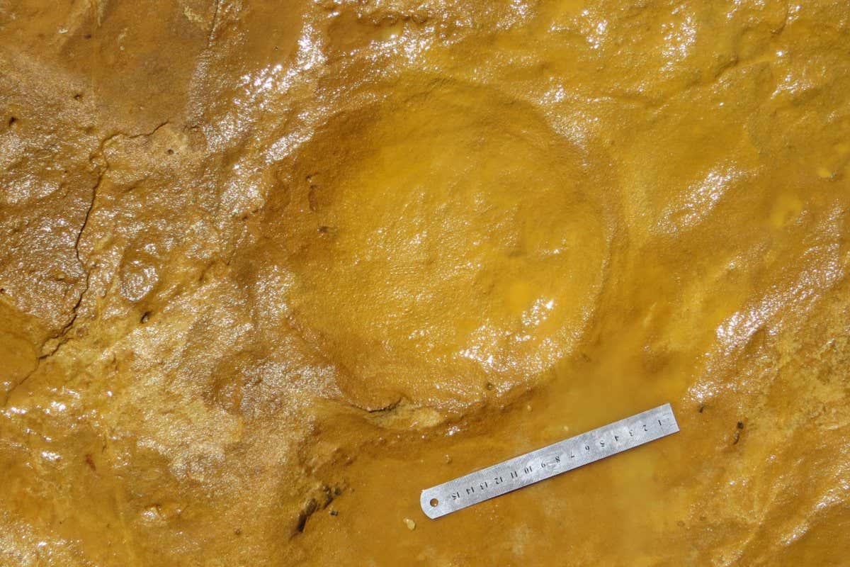 Ground with fossilised footprint