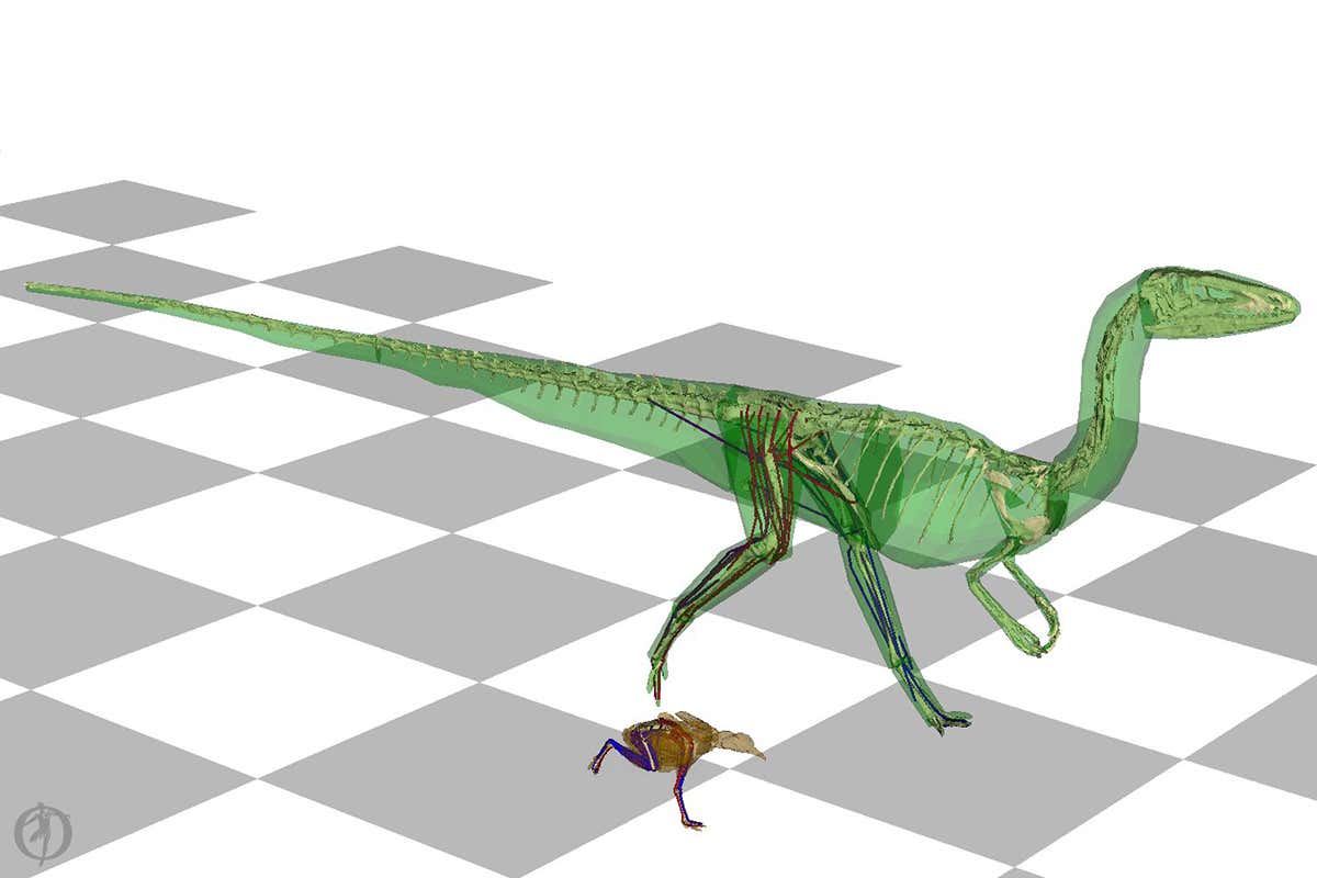dinosaur model