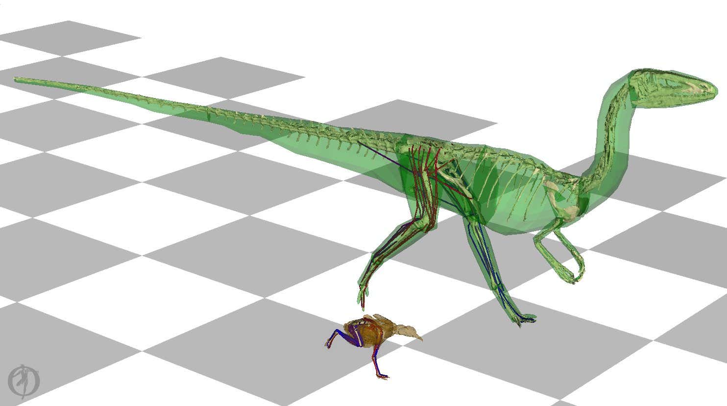 Biomechanical dinosaur simulation