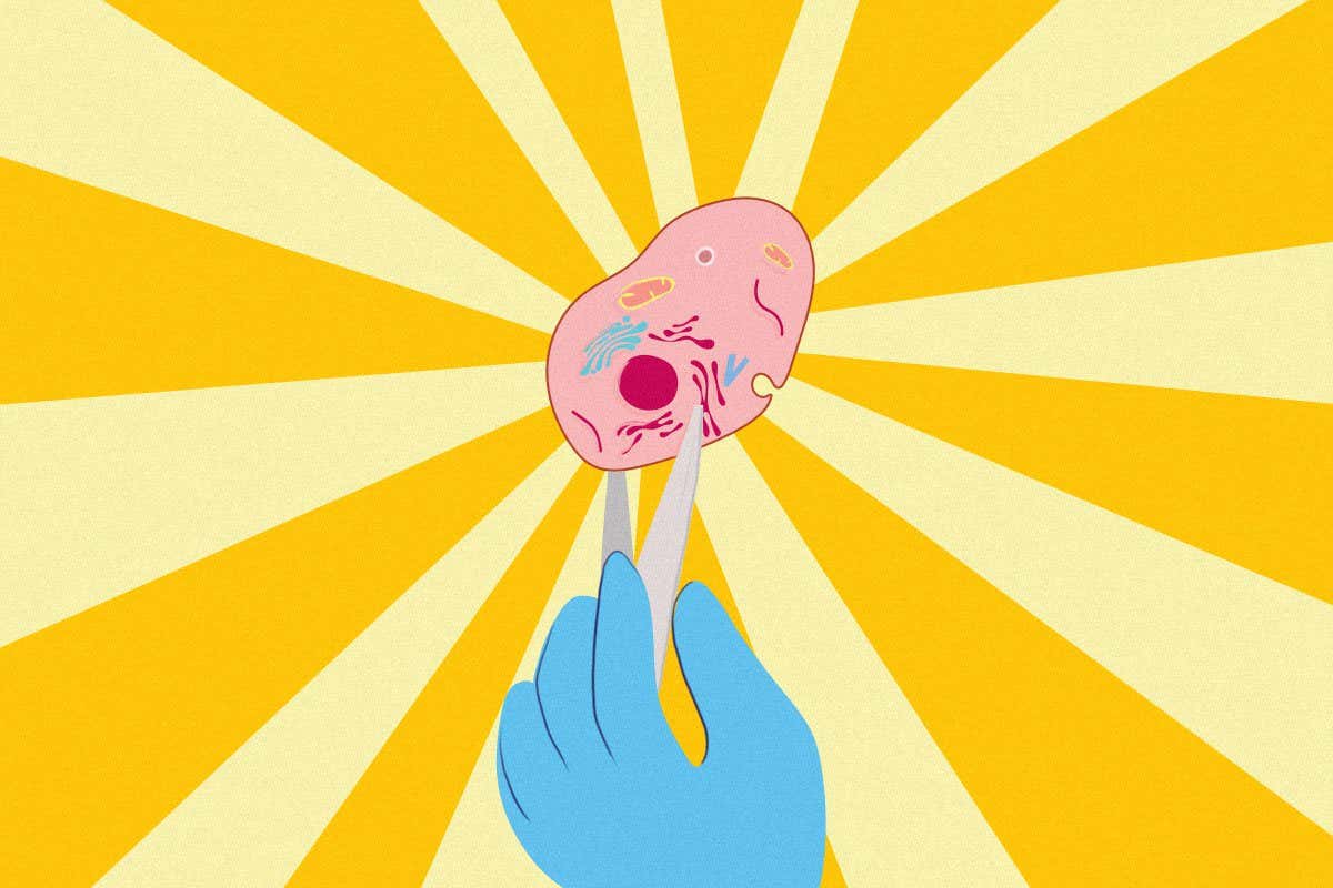 The stem cell revolution isn't what you think it is