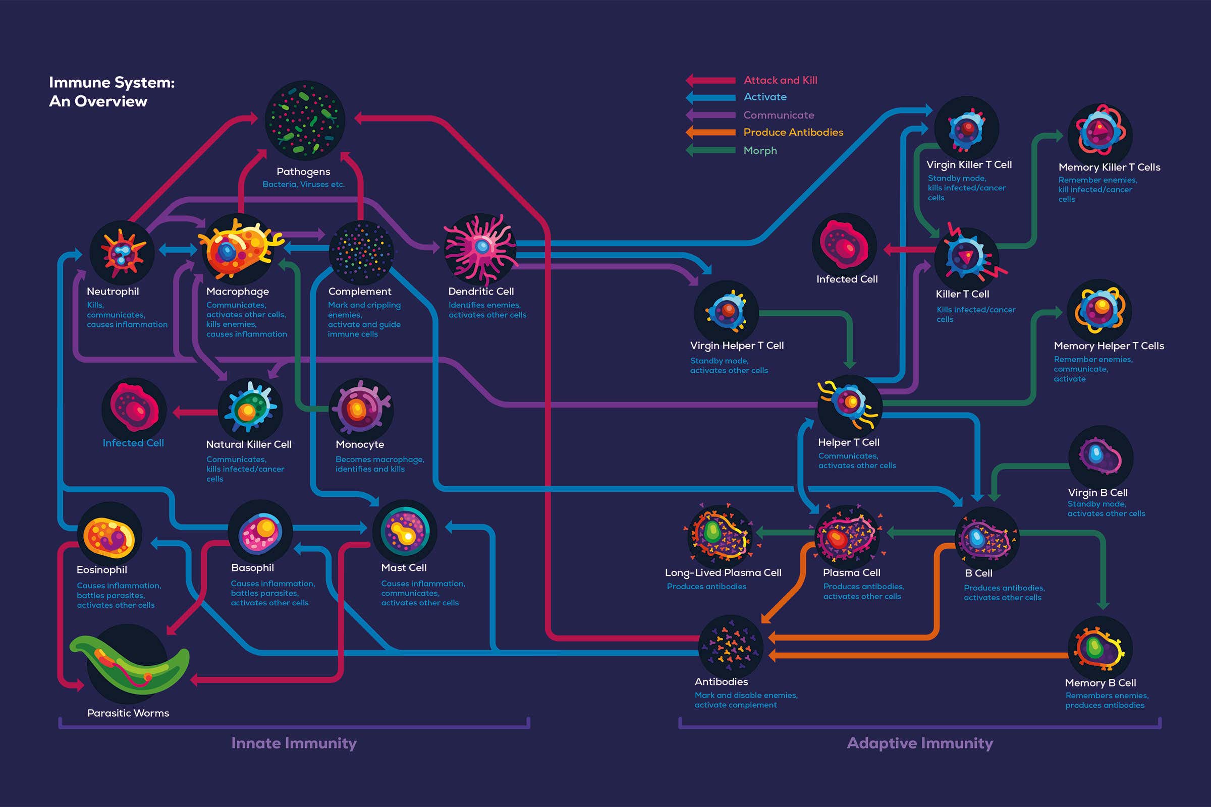 New Scientist. Science news and long reads from expert journalists, covering developments in science, technology, health and the environment on the website and the magazine.