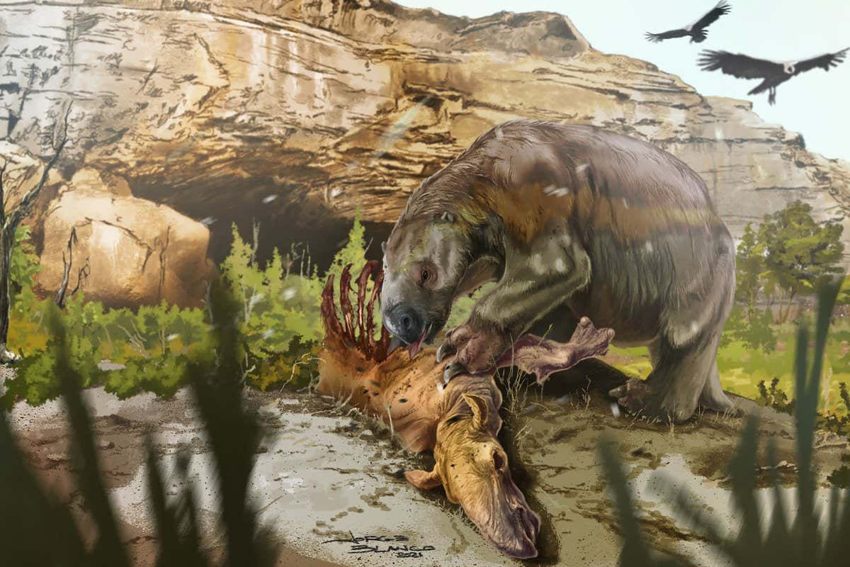 Reconstruction of the South American giant ground sloth Mylodon darwinii feeding on carcass