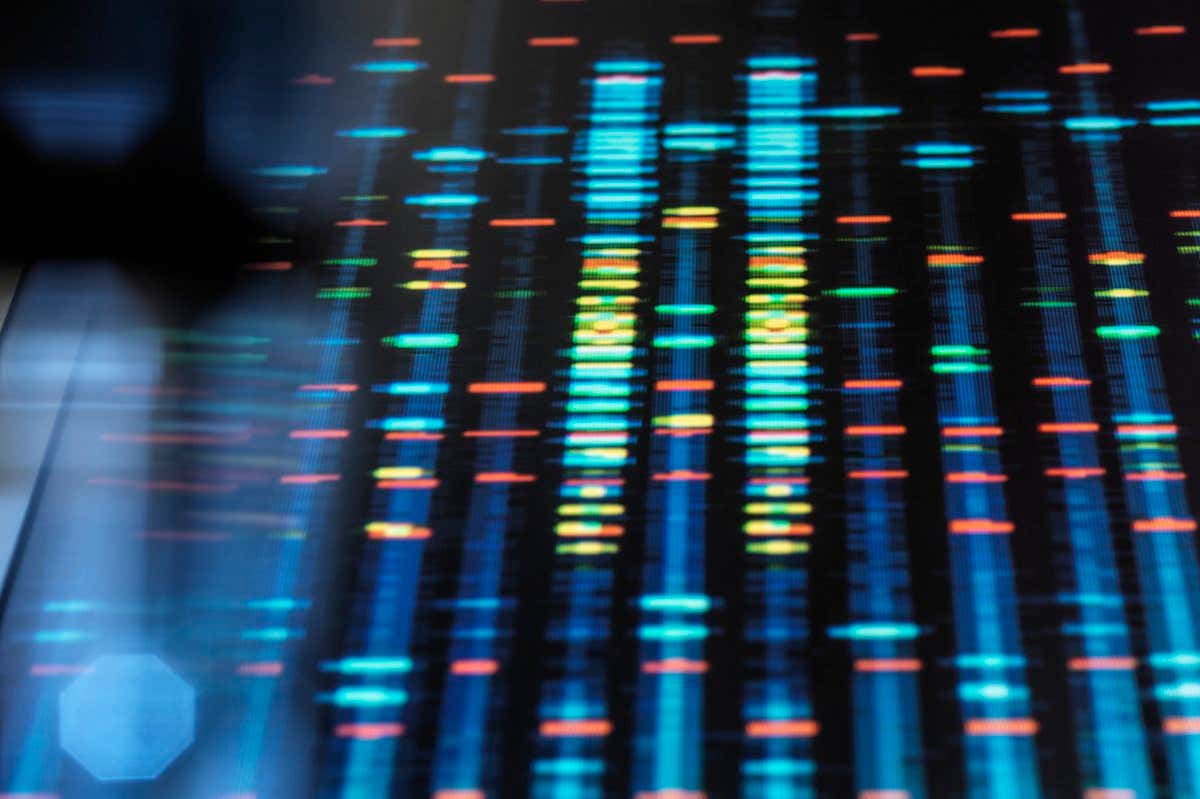 DNA profile from a human sample