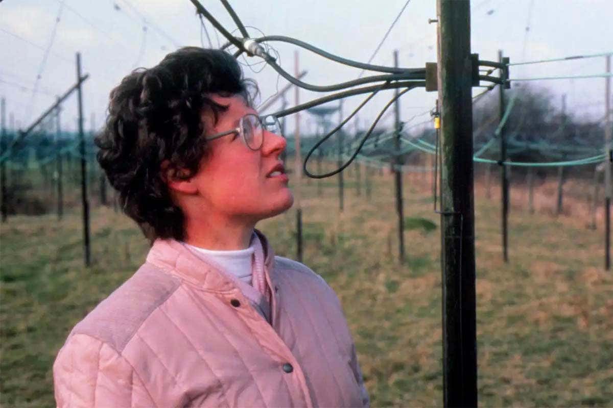 Jocelyn Bell Burnell