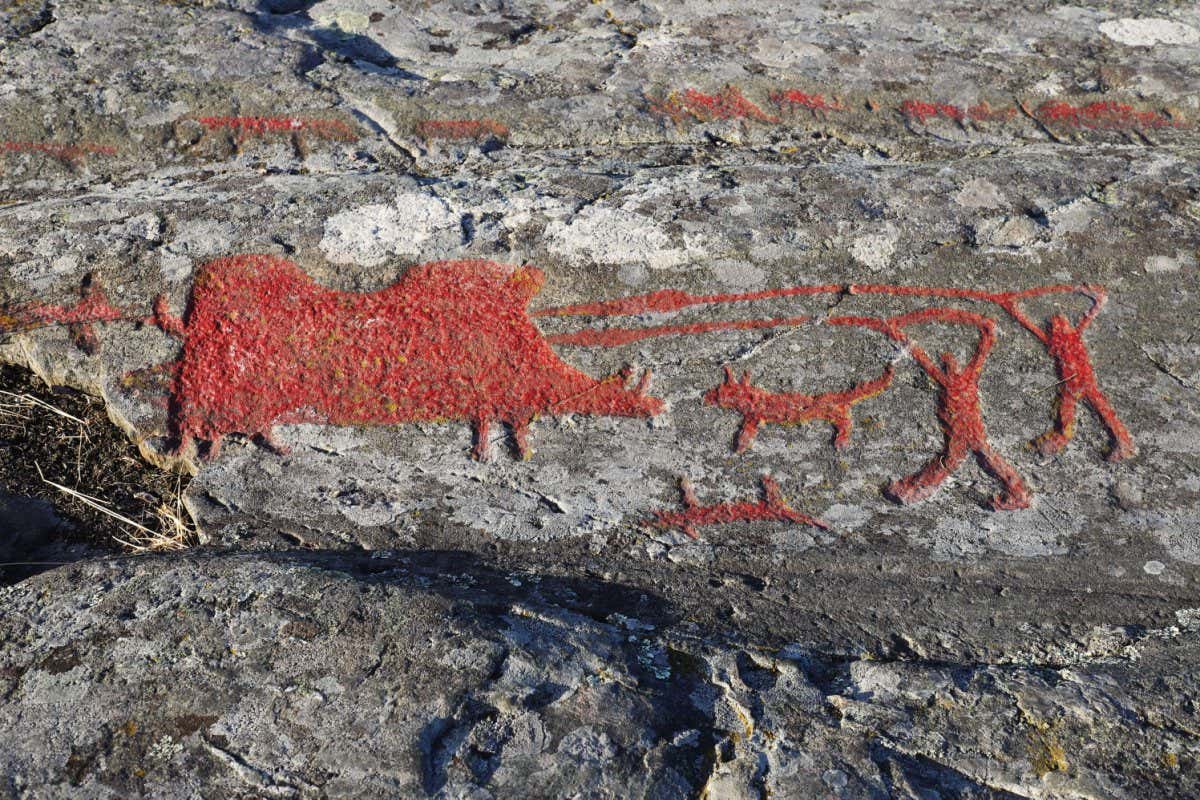 2C72R3H Rock carvings from the bronze age with a scene where two men with dogs and spears hunting a huge wild boar. One of the dogs is dead. The carvings are