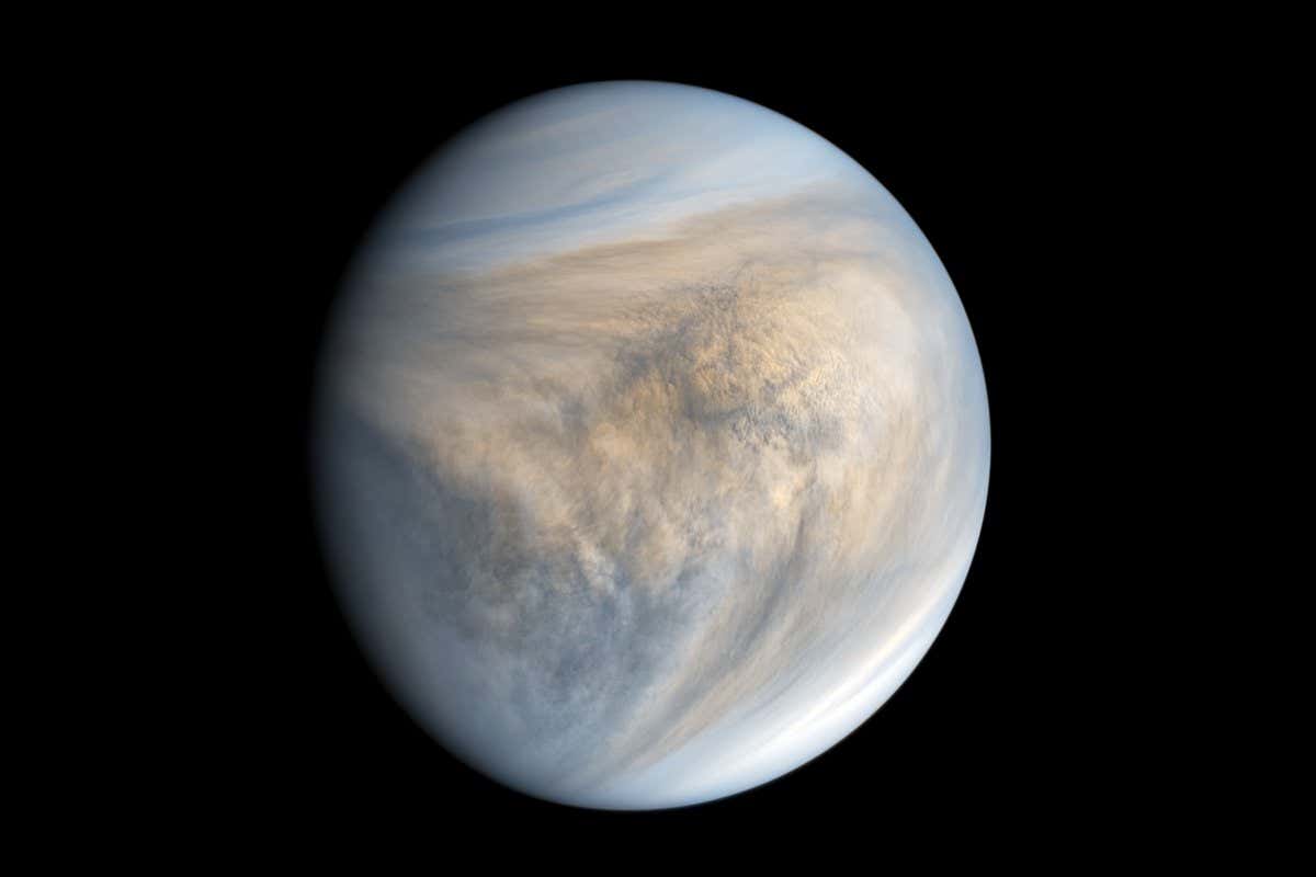 Venus