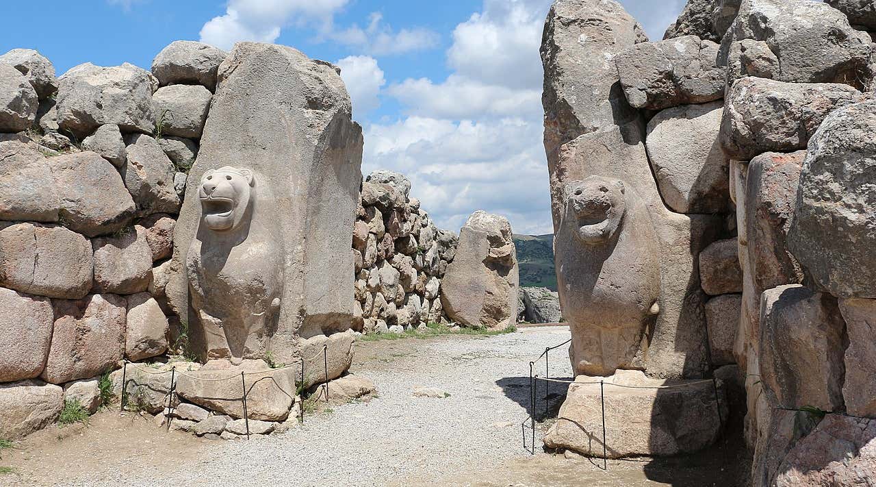 New Scientist. Science news and long reads from expert journalists, covering developments in science, technology, health and the environment on the website and the magazine.