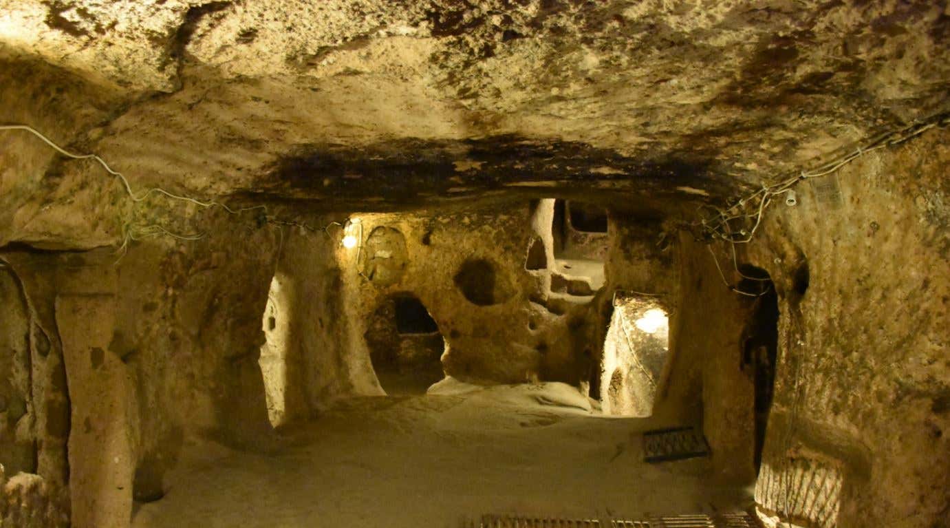 New Scientist. Science news and long reads from expert journalists, covering developments in science, technology, health and the environment on the website and the magazine.