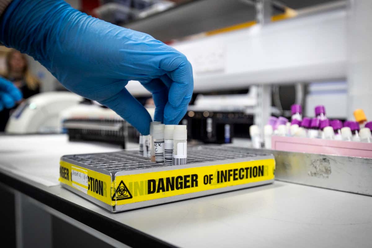 New Scientist. Science news and long reads from expert journalists, covering developments in science, technology, health and the environment on the website and the magazine.