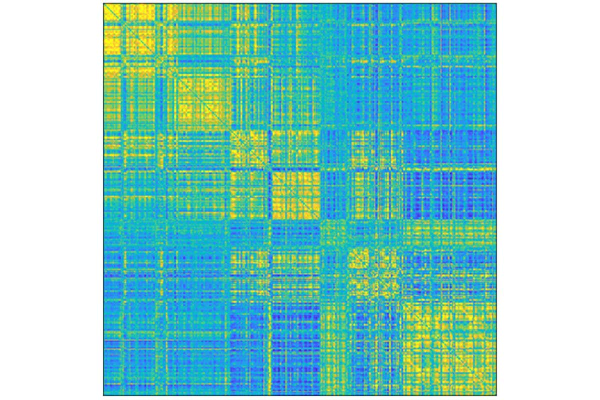 functional brain connectome
