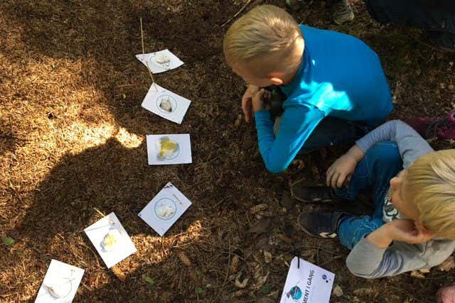 Children watching their Ant Hunt experiment