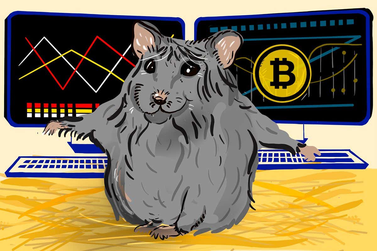 Meet Mr Goxx, the crypto-trading hamster beating human investors