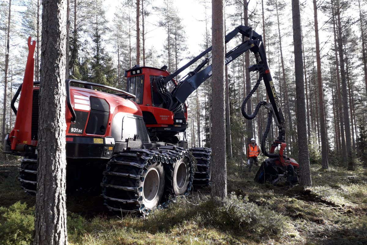 Forest Scorpion machine