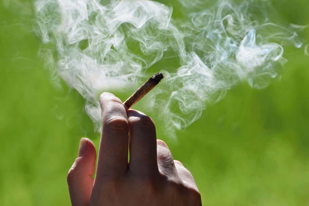 Marijuana joint in a hand