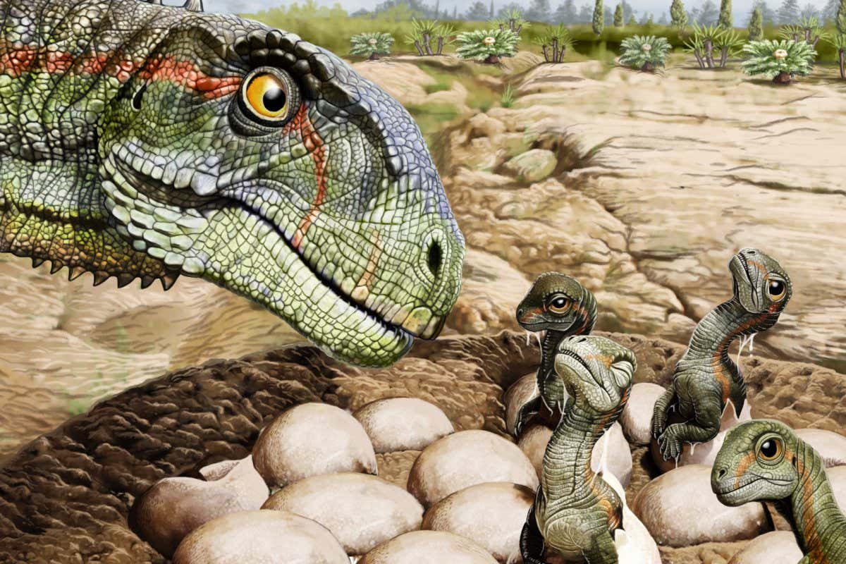 Artistic reconstruction of a nest of Mussaurus patagonicus