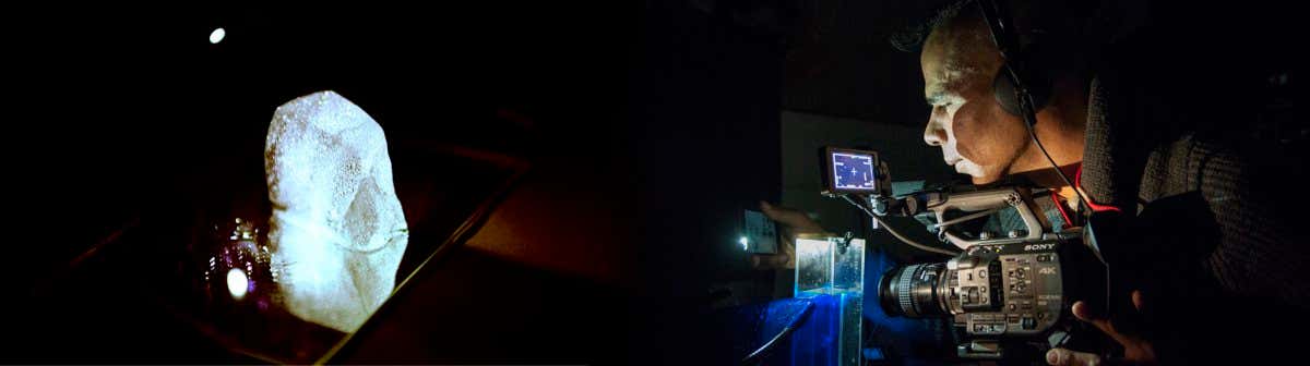 New Scientist. Science news and long reads from expert journalists, covering developments in science, technology, health and the environment on the website and the magazine.