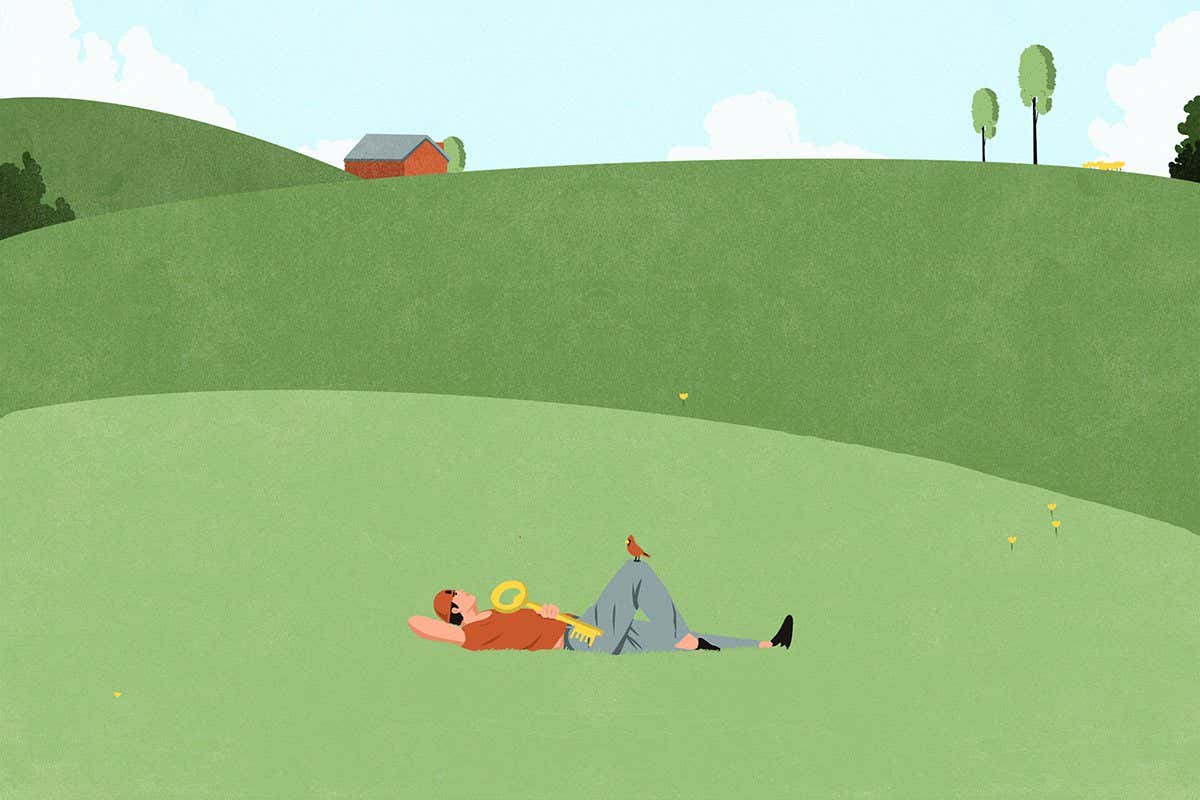 Meadows could be our secret weapon in the fight against climate change