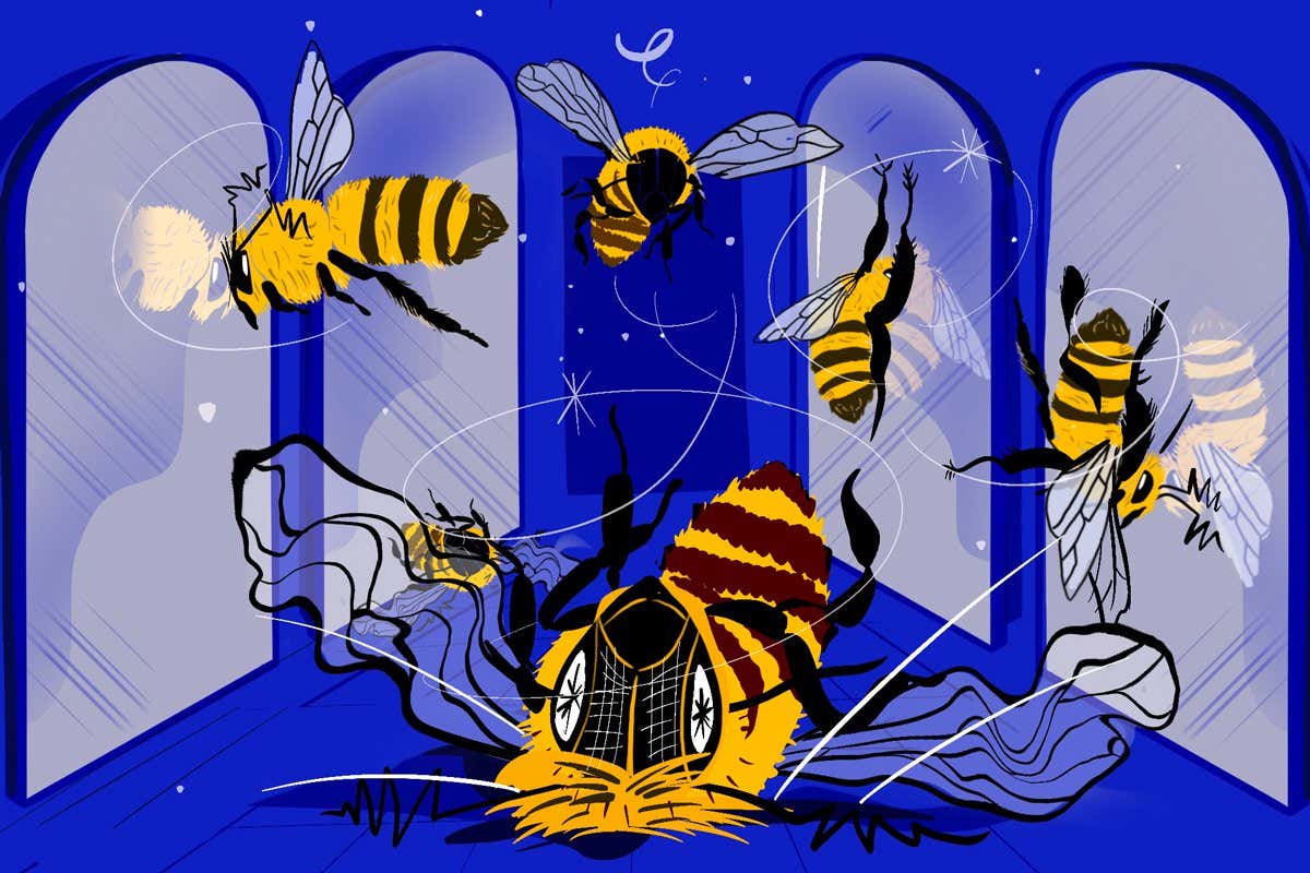 What we have learned from making honeybees repeatedly crash into walls
