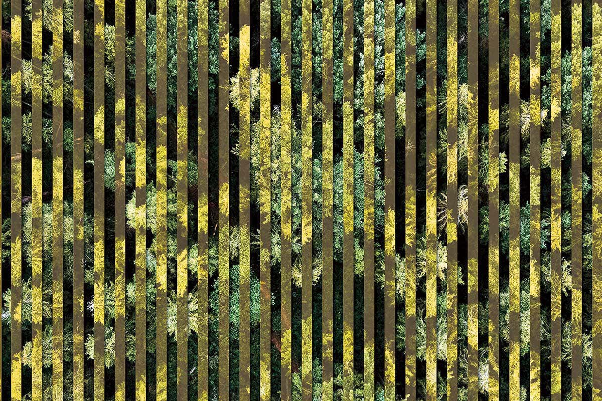 New Scientist. Science news and long reads from expert journalists, covering developments in science, technology, health and the environment on the website and the magazine.