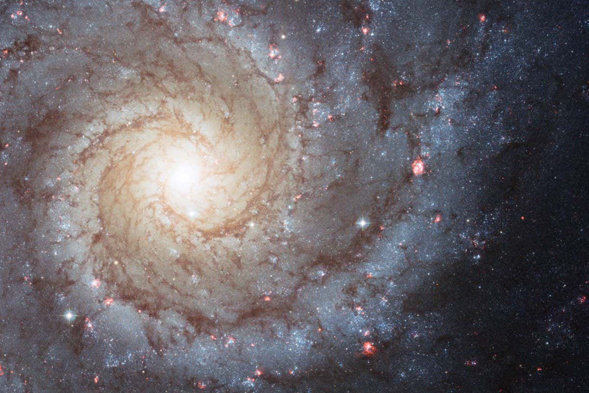 CX0F9Y M74, Phantom Galaxy Spiral Galaxy type NASA Hubble photograph