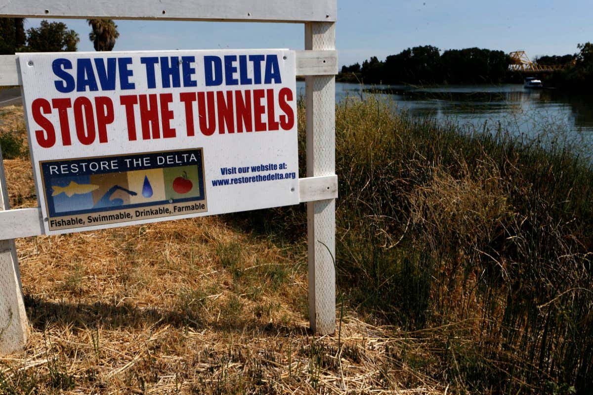 Signs along River road on the Delta waters of the Sacramento River, Calif., as seen on Wednesday July 30, 2014., near Rio Vista, Calif. The Bay Institute, a well-regarded environmental group, has determined the the Bay Delta Conservation Plan to construct tunnels to send water south would cause two salmon species to die out and would 