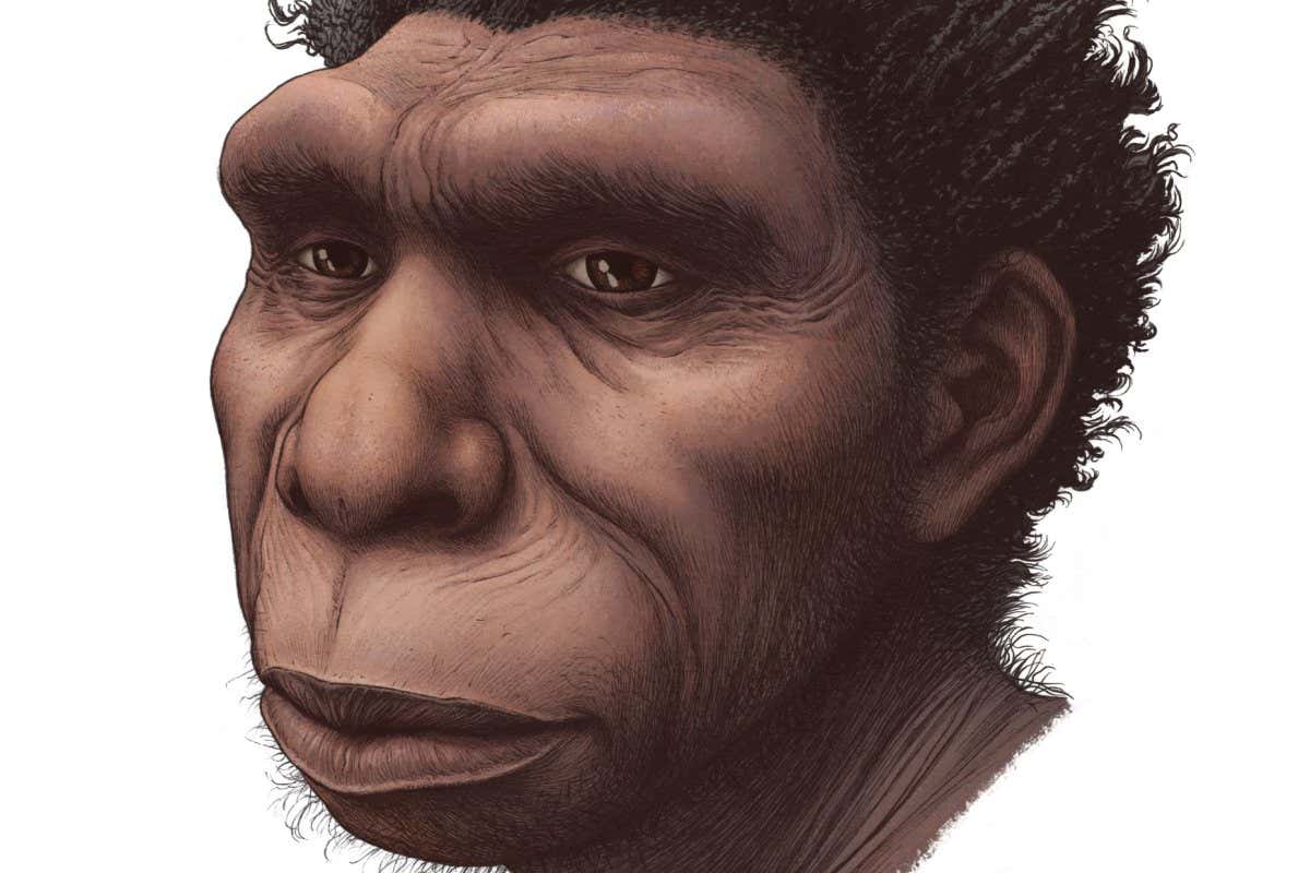 New Scientist. Science news and long reads from expert journalists, covering developments in science, technology, health and the environment on the website and the magazine.