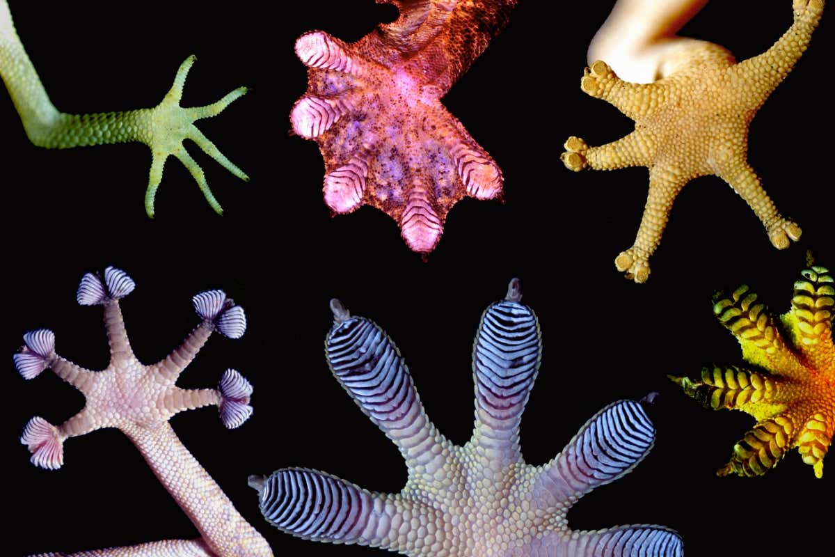 Sticky review: Everything you could ever want to know about surfaces