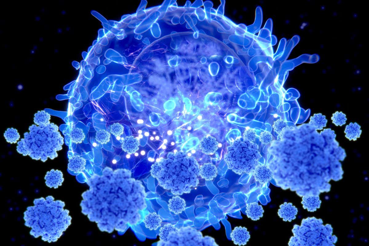 Illustration of a T cell targeting SARS-CoV-2 particles.