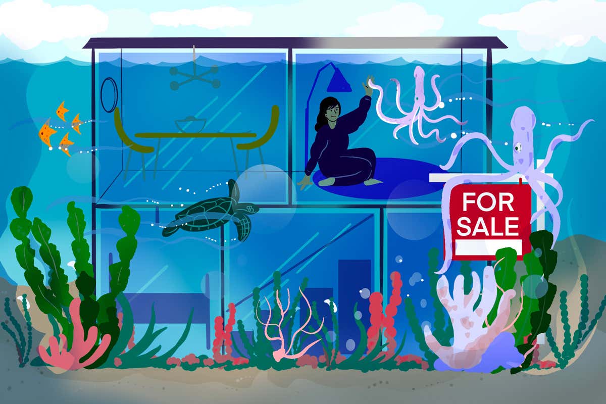 Sinking under the mortgage costs of ‘new normal’ undersea homes