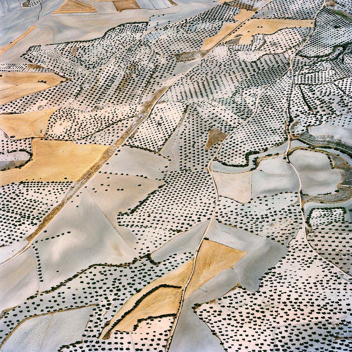 Amazing aerial photos show humanity's impacts on Earth