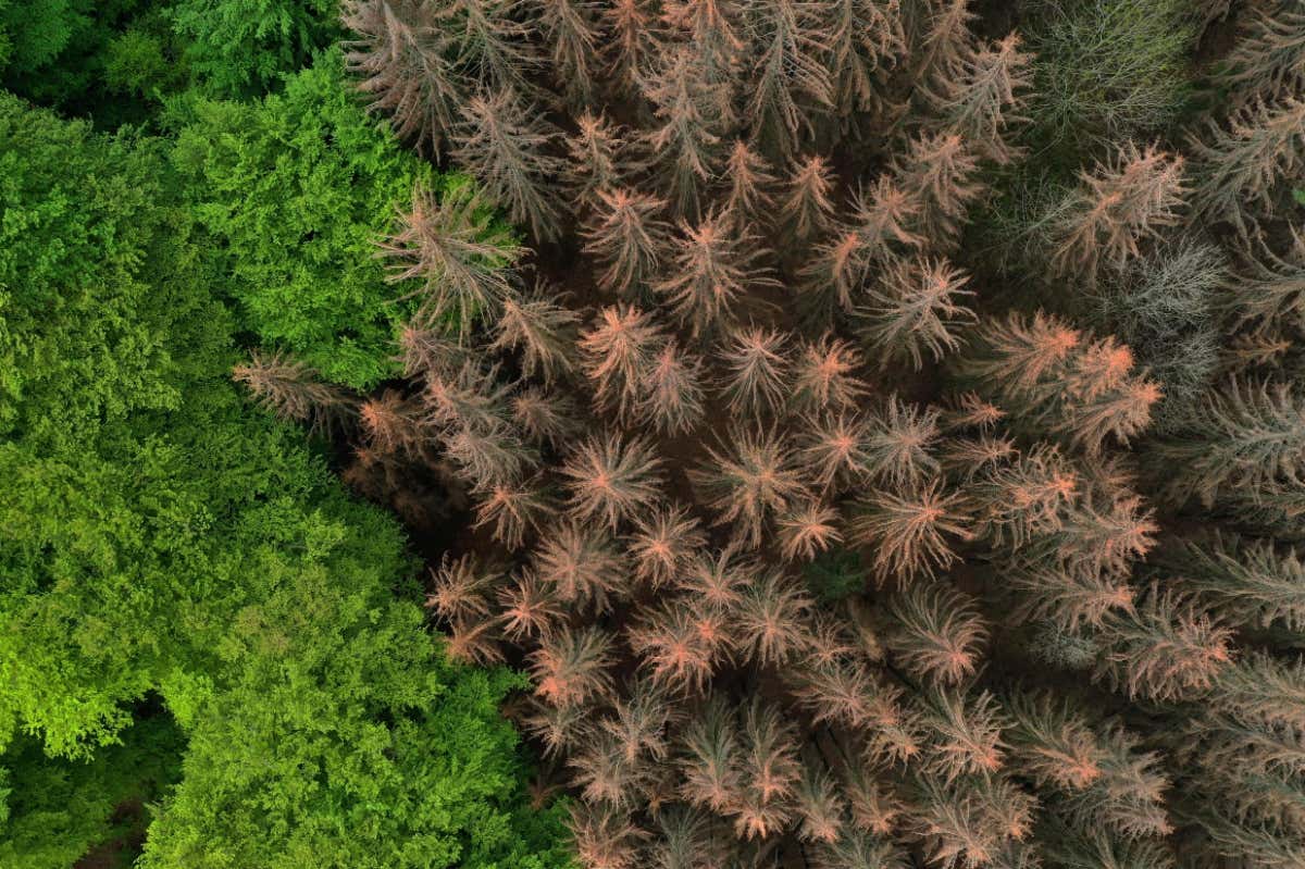 New Scientist. Science news and long reads from expert journalists, covering developments in science, technology, health and the environment on the website and the magazine.