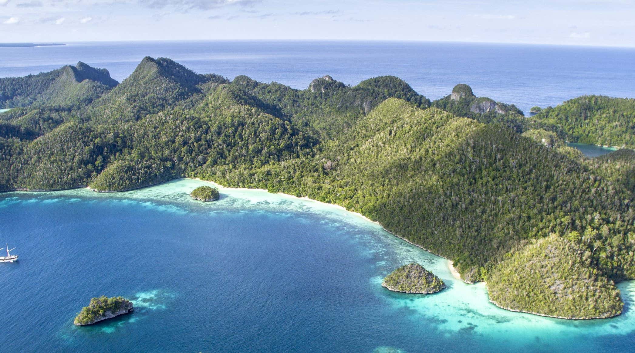 New Scientist. Science news and long reads from expert journalists, covering developments in science, technology, health and the environment on the website and the magazine.