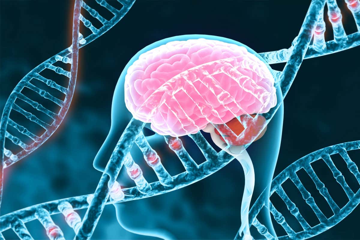 Some genes in the brain may make 100 different proteins