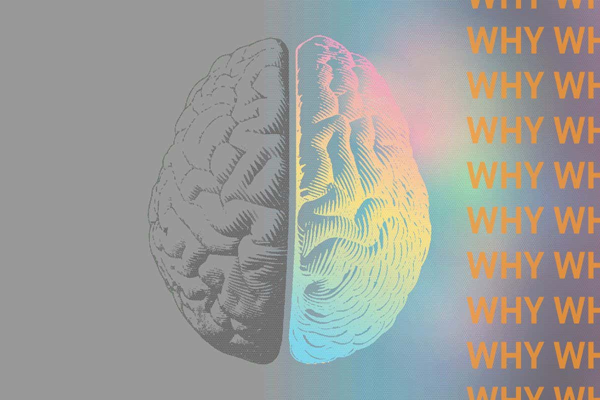 WHY are we conscious?