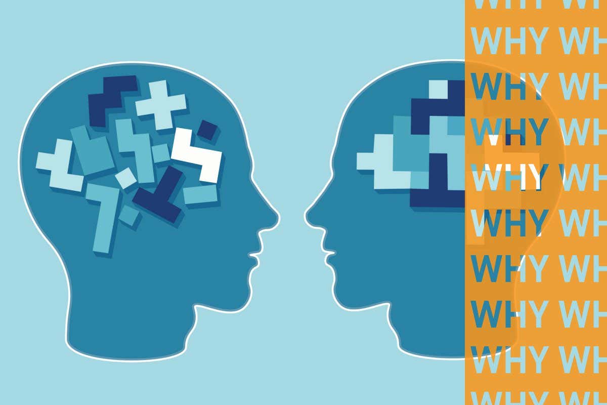 WHY do we act irrationally?