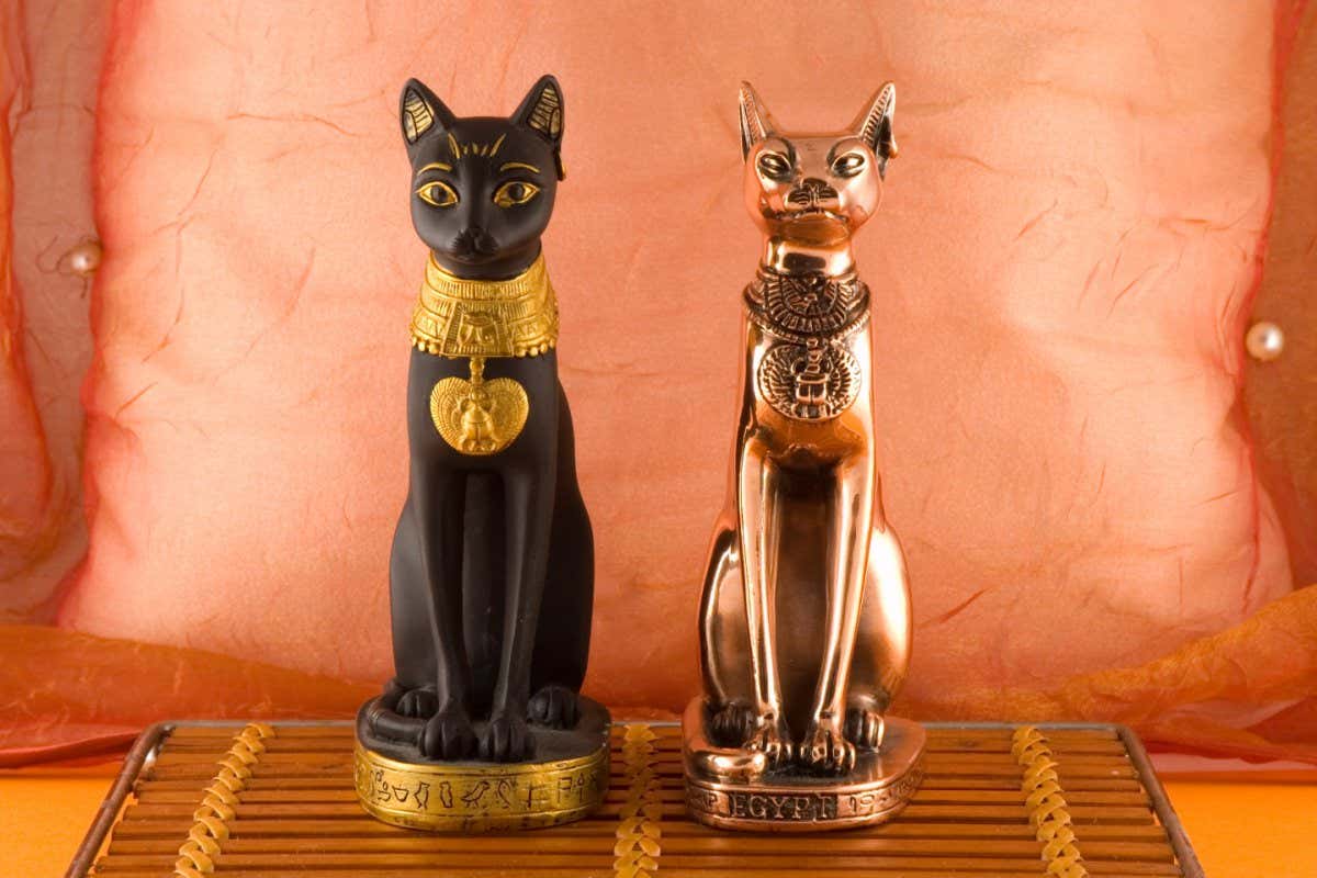 Black and bronze cats; Shutterstock ID 2376424; purchase_order: -; job: -; client: -; other: -